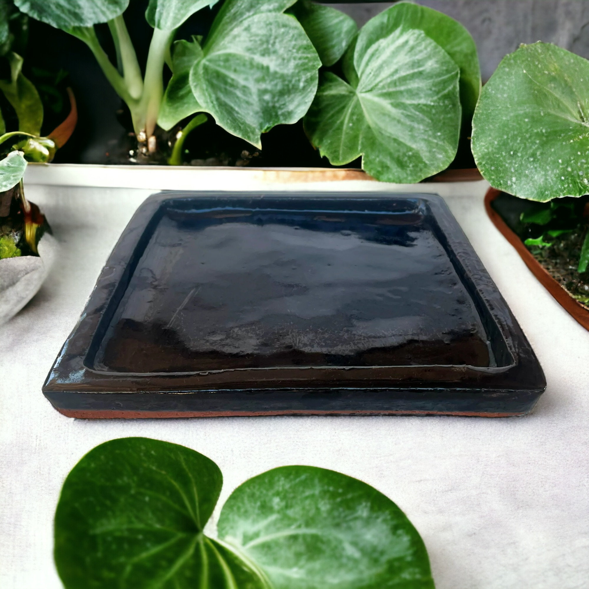 Plant Tray 