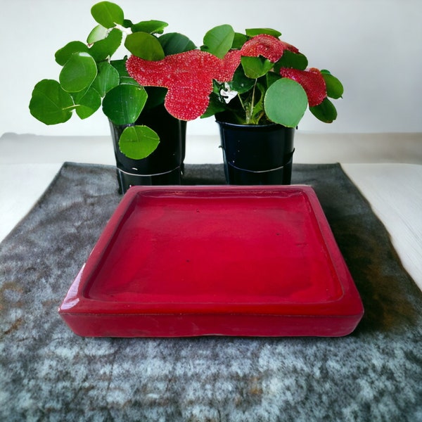 Square Ceramic Plant Saucer - Tropical Red - Durable & Elegant Plant Tray in Vibrant Colors and Multiple Sizes