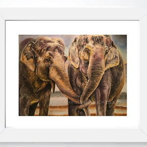 Elephants_dans_l&#39;amour (Elephants in Love)
