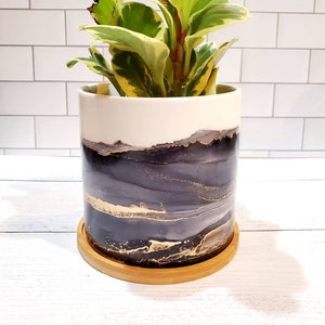 May include: A potted plant with green and yellow leaves in a white ceramic planter with a black and gold abstract design. The planter sits on a wooden coaster.