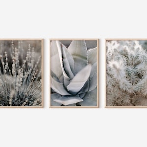 Desert Print, Desert Wall Art, Desert Art, Desert wall print, Desert photo print, Desert Photos, Desert Photography, Desert printable set