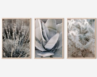 Wüstendruck, Wüstenwandkunst, Wüstenkunst, Wüstenwanddruck, Wüstenfotodruck, Wüstenfotos, Wüstenfotografie, Wüstendruckbares Set