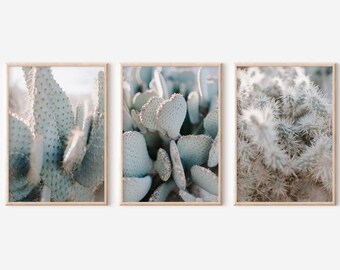 Wüstenwandkunst, Wüstendruck, Wüstenkunst, Wüstenwanddruck, Wüstenfotodruck, Wüstenfotos, Wüstenfotografie, Wüstendruckbares Set