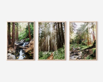 Ensemble de 3 impressions photo Big Sur Redwoods, ensemble mural galerie nature, impressions photo montagne, impressions photo automne, art mural Big Sur imprimable