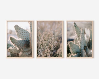 Desert Wall Art set of 3 downloadable prints, Desert Print, Desert Art, Desert wall print, Desert photo print, Desert Photos, Joshua Tree