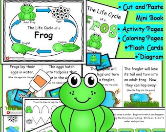 Life Cycle of a Frog Mini Book and Activity Pages