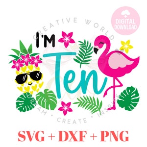 Diez cumpleaños / Flamenco Diez cumpleaños svg / Piña Flamenco Verano Cumpleaños svg / Cumpleaños de verano / Cumpleaños svg / Descarga instantánea