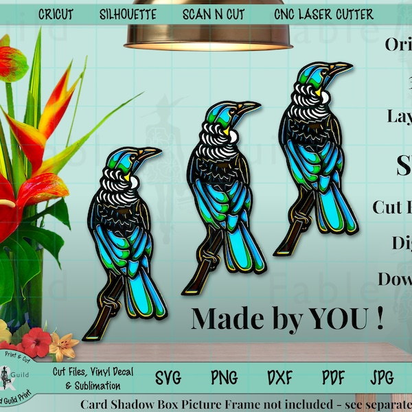New Zealand Tui Bird 3D SVG Cut File for Cricut Designs, Kiwi Bird svg, Bird Art svg, 3d Layered svg, Native New Zealand Bird shadow box svg
