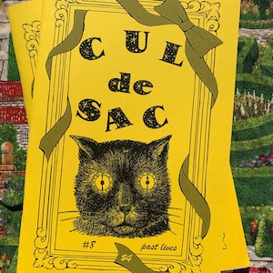 Cul-de-sac #8 Past Lives zine