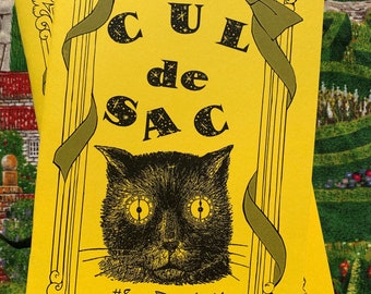 Cul-de-sac #8 Past Lives zine