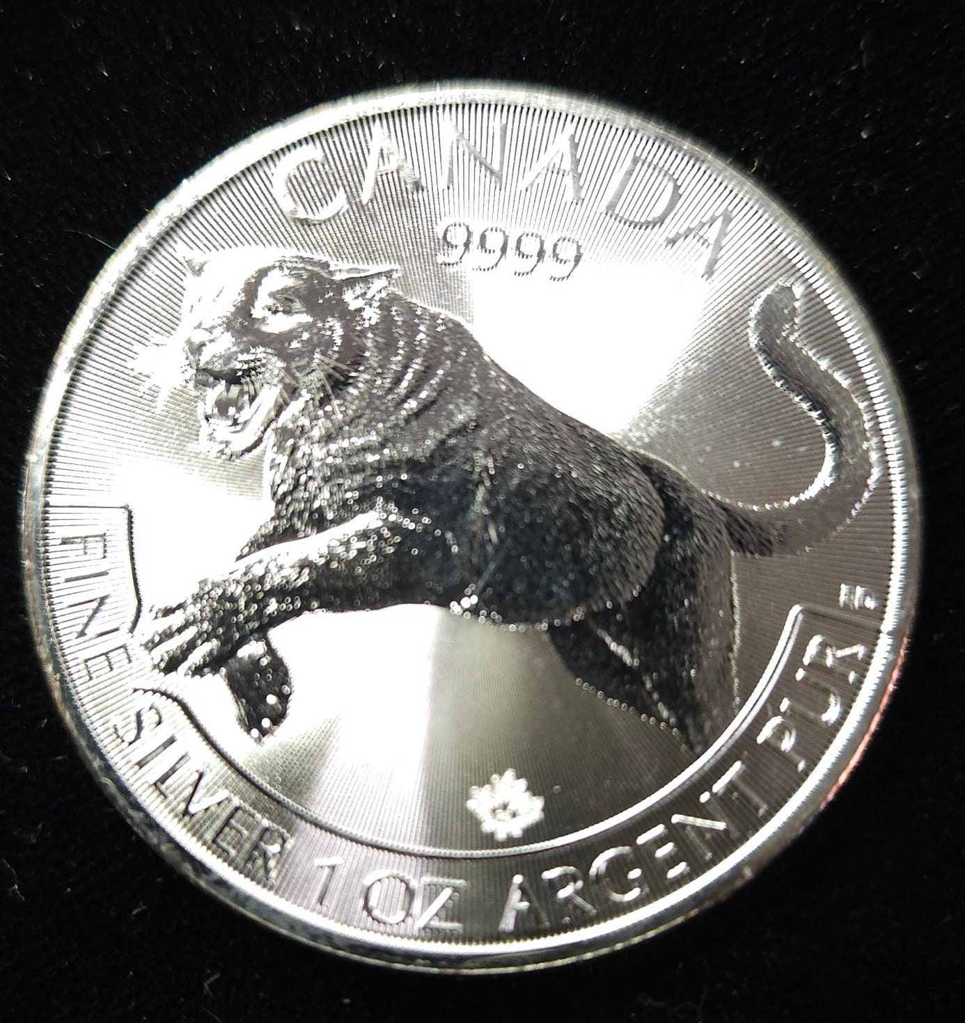 2016 Canada 5 Dollars 1 Oz. .9999 Silver 