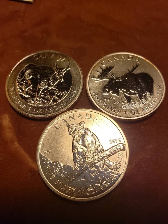 Canadian 2012 Cougar 1 oz .999 Fine Silver Coin Canadian 2012 Cougar 1 oz .999 Fine Silver Coin