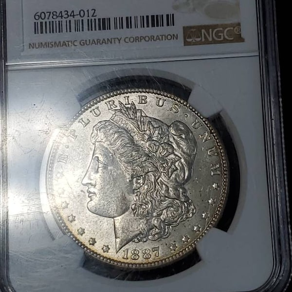 1887   MS 63 Silver Morgan Dollar, NGC  MS 63  Silver Coin  Beautiful toning- small chip on top of the case -  Regular -129   Lot # 1486