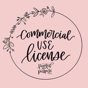 Commercial Use License