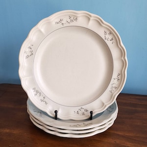 Vintage Pfaltzgraff Heirloom Dinner Plate Set Australia