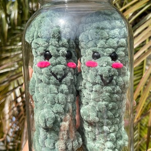 Crochet Pickle