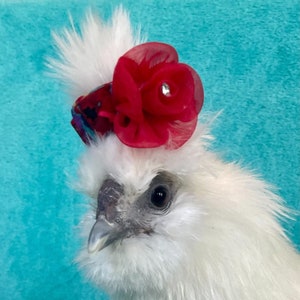 Silkie Headband / Headbands For Silkies