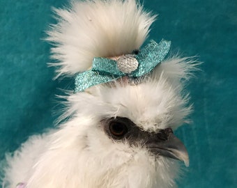 Silkie Headband / Headbands For Silkies