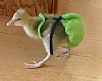 GOSLING DIAPERS