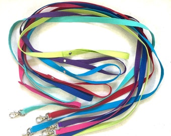 Leashes For Chicken / Duck Diapers