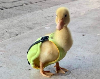 DUCKLING DIAPERS