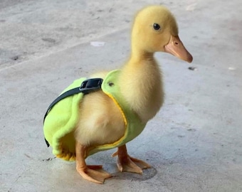 DUCKLING DIAPERS