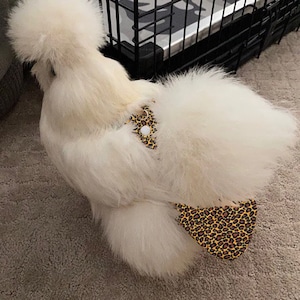 Chicken  Diaper in LEOPARD fabric with Optional Bow