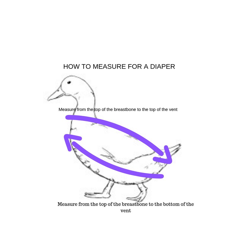 Chicken Duck Diaper with Optional D-Ring