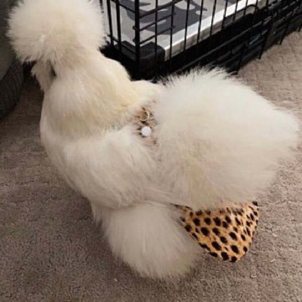 Chicken  Diaper in LEOPARD fabric with Optional Bow