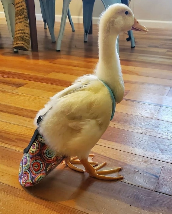 Duck Diaper in RAINBOW CIRCLES Fabric With Purple Fleece Etsy