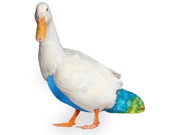 Duck Diaper in Batik Watercolors and Sea Blue Fleece