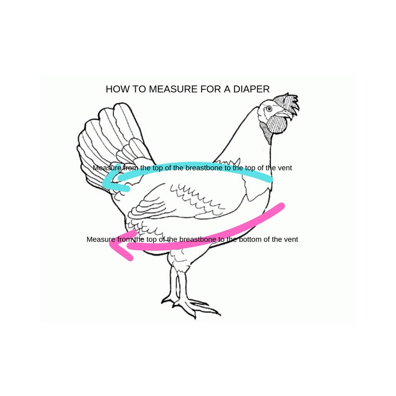 Chicken Duck Diaper with Optional D-Ring