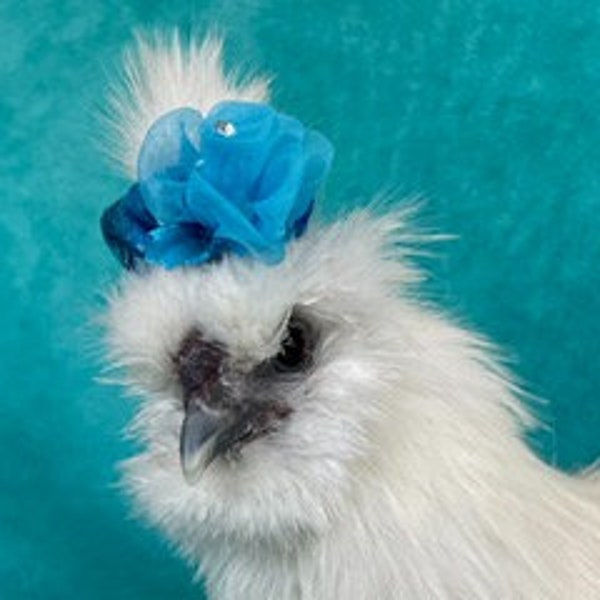 Silkie Headband / Headbands For Silkies