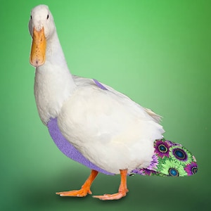 Duck Diaper in Vibrant Flowers and Lime or Purple Fleece