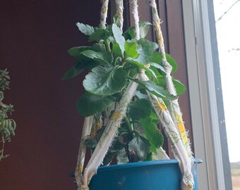 Plant Hanger - Repurposed Material