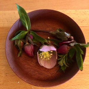 May include: A wooden bowl filled with a pink and white flower and several pink flower buds. The bowl is on a wooden surface.