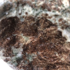 Puede incluir: Primer plano de una roca con un patrón moteado marrón, blanco y verde. La roca tiene una superficie rugosa y texturizada.