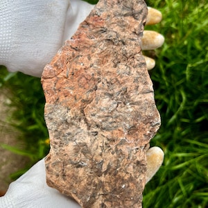 May include: A rough, irregularly shaped rock specimen featuring a mottled surface with earthy tones of reddish-brown and tan, interspersed with dark, needle-like inclusions that create a textured, crystalline appearance across the entire face.