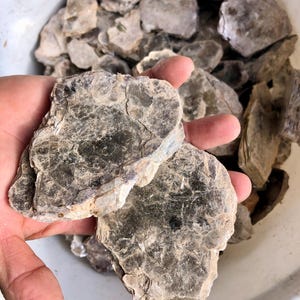 Può includere: Un mucchio di trucioli di mica minerale grigi e marroni in un secchio bianco. Due pezzi di mica più grandi vengono tenuti in una mano.