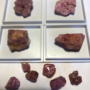 Puede incluir: Una colección de cristales rosas y rojos en pequeñas cajas blancas. Hay ocho cristales en total, algunos están agrupados y otros son cristales individuales.