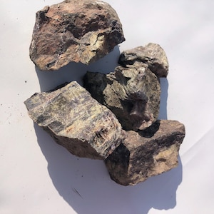 May include: Several rough-hewn rocks, displaying a mix of brown, grey, and green hues. The stones, with their textured surfaces, are arranged against a white backdrop. The lighting accentuates the natural colours and intricate details of the rocks.