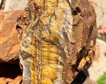 Tiger's eye, 0.9 kg (14.39 Euro/kg), 1-3 pieces, South Africa, 1 A quality