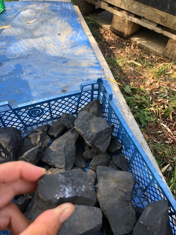 Qozoq yulduzlari ishtirokidagi porno filmlar