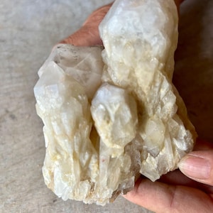 Può includere: Un grappolo di cristalli di quarzo traslucidi color bianco sporco, caratterizzato da molteplici terminazioni appuntite e superfici frastagliate e sfaccettate. La formazione minerale presenta vari gradi di trasparenza e inclusioni giallo pallido.