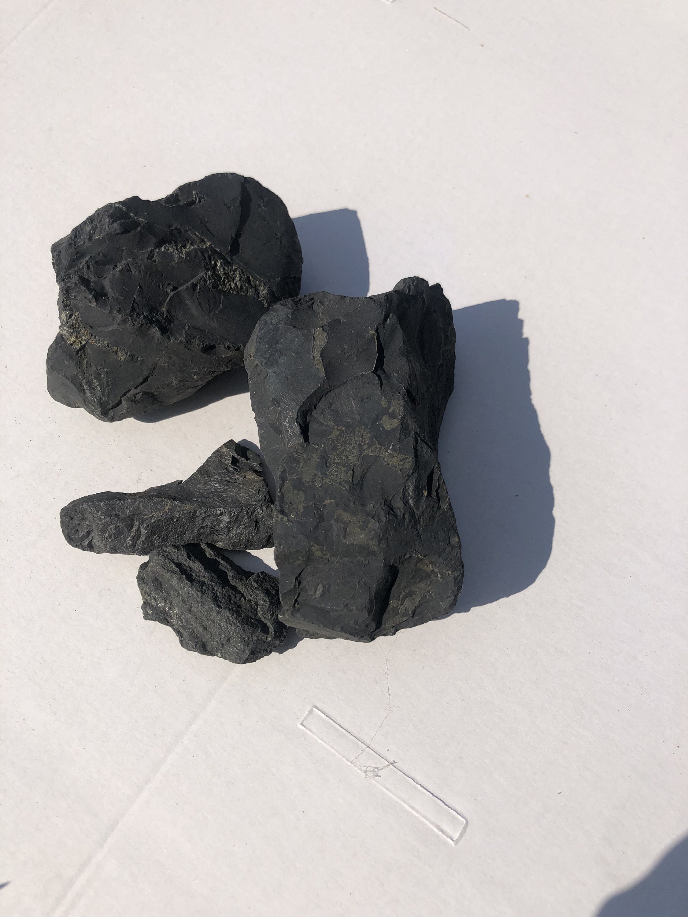 Shungite shungite, 0,9 kg, fiume Shunga, Carelia, Russia -  Italia