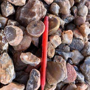 Agate/ Carnelian 9.3 kg (8.49 Euro/kg) from Malawi, buy collectibles cheaply from the mineral wholesaler
