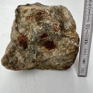 May include: A rough, irregularly shaped rock with a mix of beige, brown, and green hues. The rock has a textured surface with visible crystalline structures and reddish-brown inclusions. A ruler is placed next to the rock for scale.
