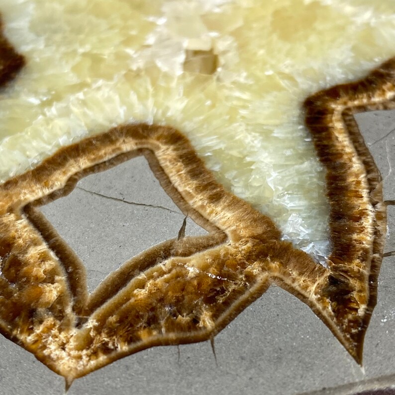 septarian nodule septarian stone brown aragonite Septarian Semi Polished Slab barite yellow calcite polished septarian limestone