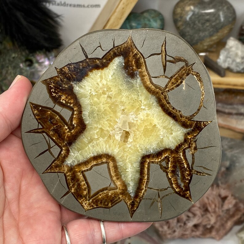 septarian nodule septarian stone brown aragonite Septarian Semi Polished Slab barite yellow calcite polished septarian limestone