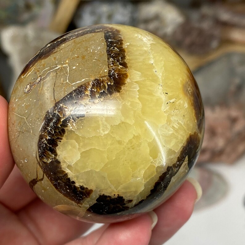 septarian yellow calcite septarian nodule Septarian 57mm Sphere limestone septarian sphere crystal sphere barite brown aragonite